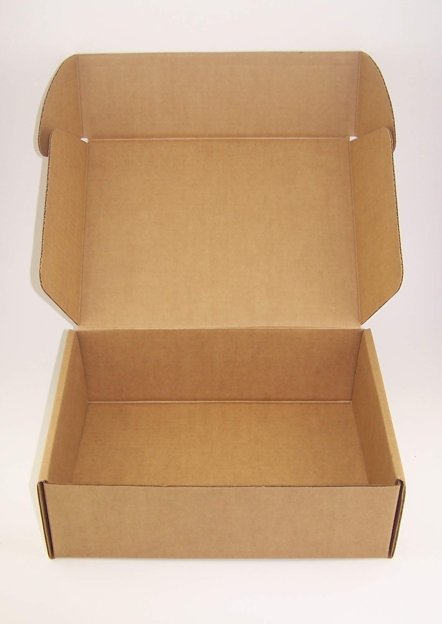 New 1294 Die Cut Mailer Added to Globe Guard® Products Store