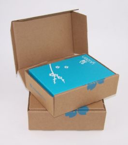 Rigid box in die cut mailer by Salazar Packaging