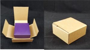 Rigid box and shipper shown open and closed by Salazar Packaging