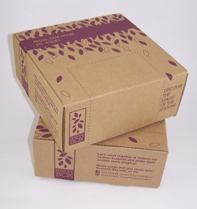 die cut mailer custom printed one color on kraft