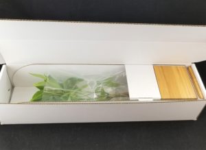 plant in box with insert in place