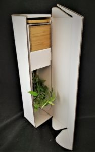 Another DTC box: upside down money tree packaging by Salazar Packaging